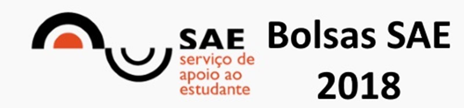 bolsasae