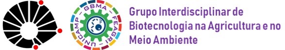 Grupo Interdisciplinar de Biotecnologia na Agricultura e no Meio Ambiente - GBMA