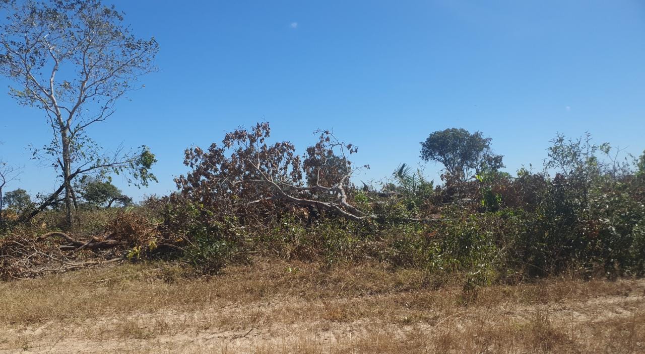 SEM BAGUNÇA NO AGRONEGÓCIO: Proprietário multado em R$970 mil por desmatamento ilegal