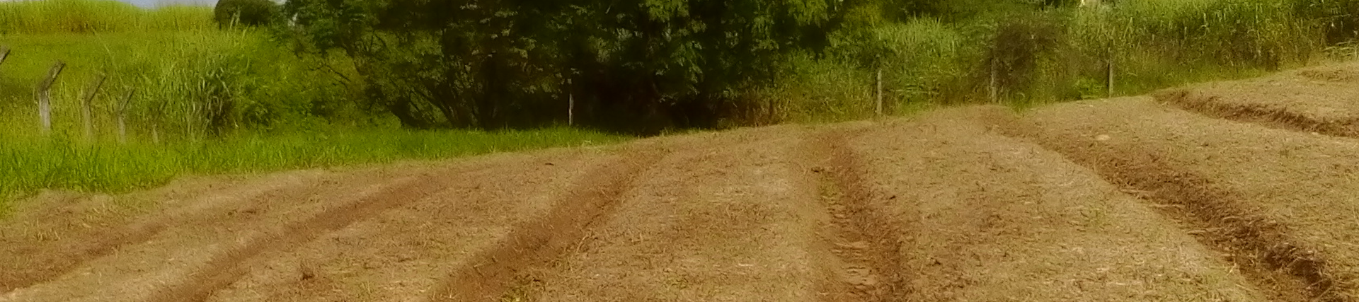 HortaPlan Planejamento da produção de hortaliças 