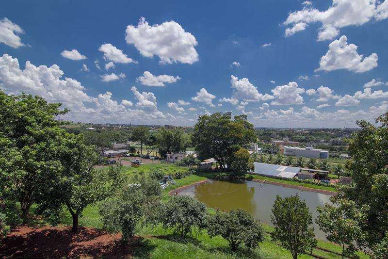 Vista panorâmica da Faculdade de Engenharia Agrícola da Unicamp (Feagri), mostrando árvores em primeiro plano, um lago artificial ao centro, prédios ao fundo e céu azul com muitas nuvens brancas