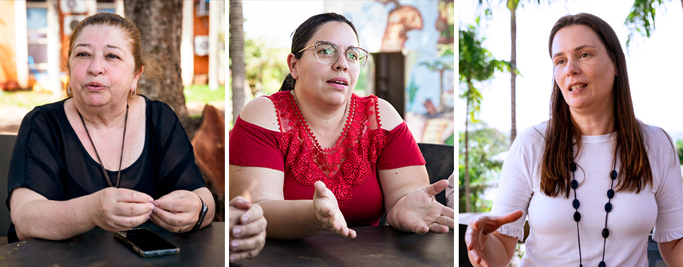 Ultrassonografia avalia saúde de árvores