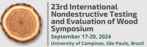 NDTE logo2024