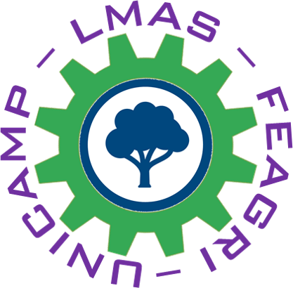 LMAS