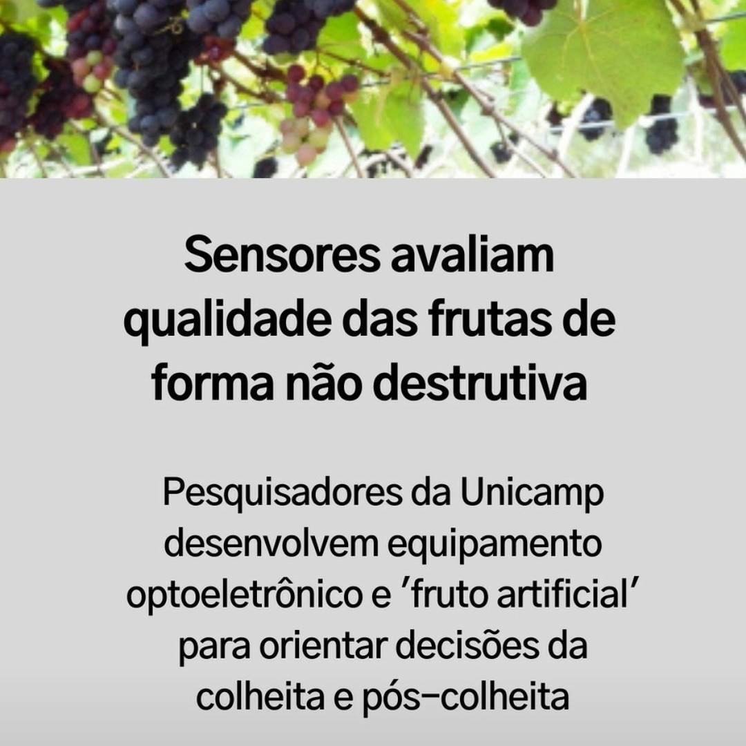 Reportagem Bárbara